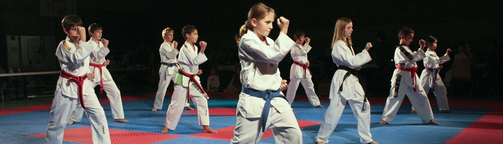 TaeKwonDo – Ates e.V.